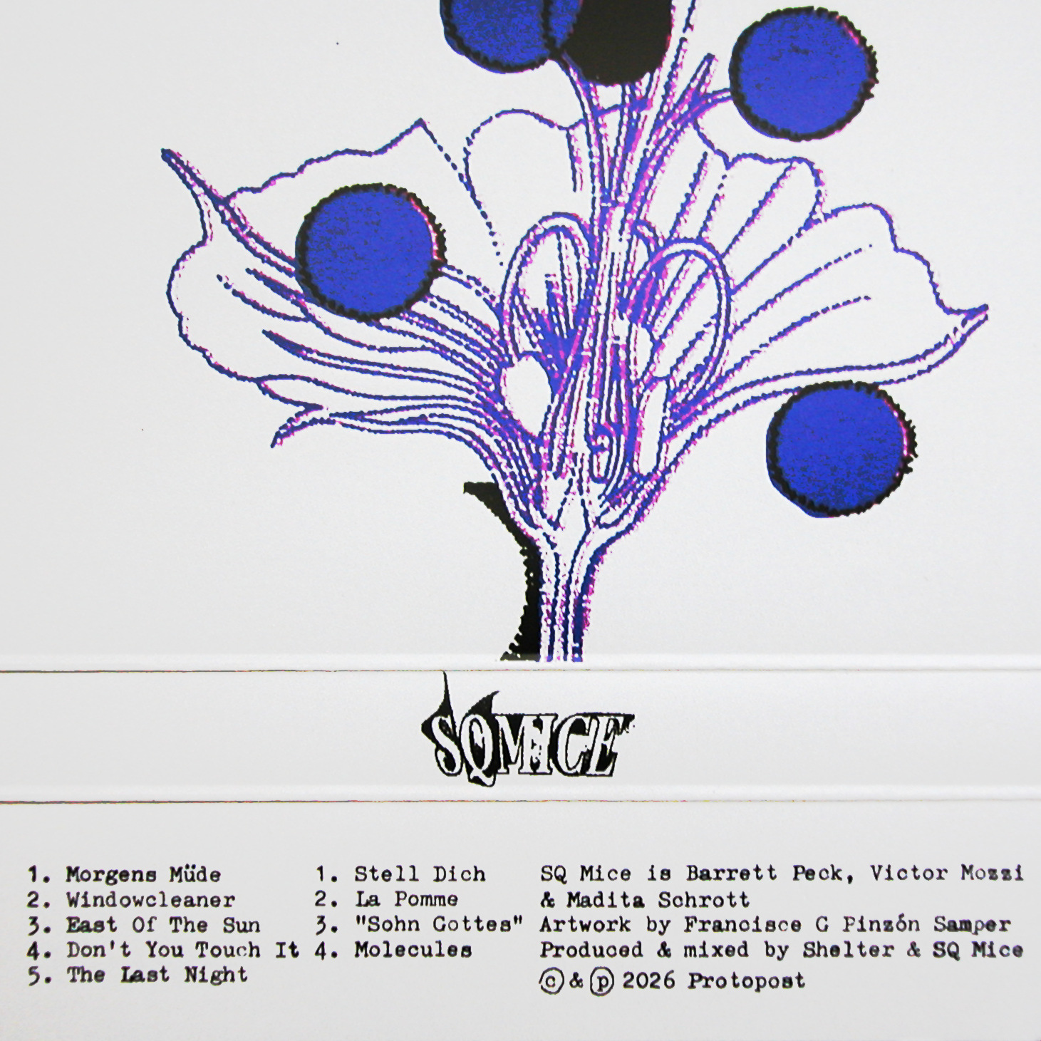 SQ Mice - S/T